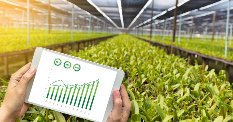 Fertilizers Conference and Their Importance in Agriculture